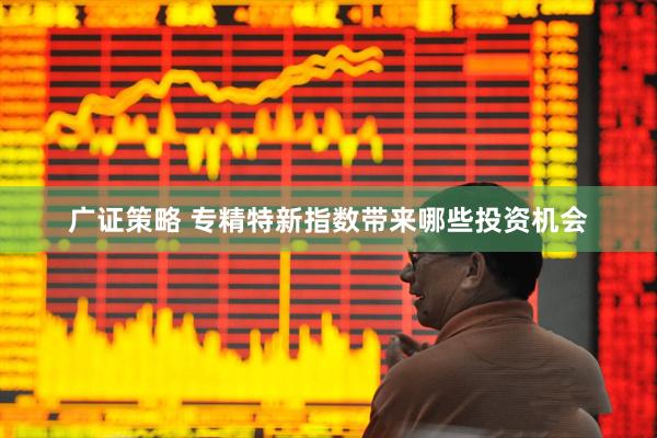 广证策略 专精特新指数带来哪些投资机会