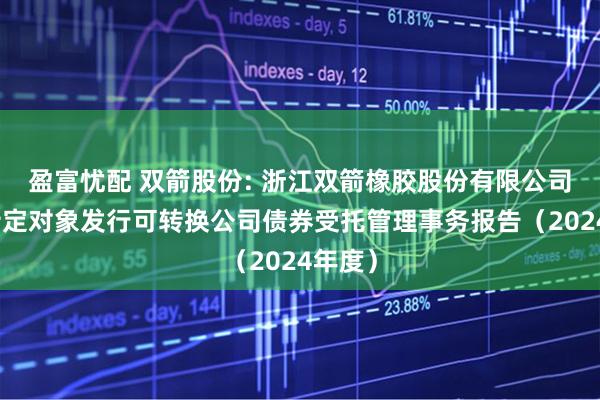 盈富忧配 双箭股份: 浙江双箭橡胶股份有限公司向不特定对象发行可转换公司债券受托管理事务报告（2024年度）