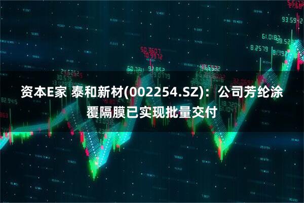 资本E家 泰和新材(002254.SZ)：公司芳纶涂覆隔膜已实现批量交付