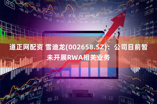 道正网配资 雪迪龙(002658.SZ)：公司目前暂未开展RWA相关业务