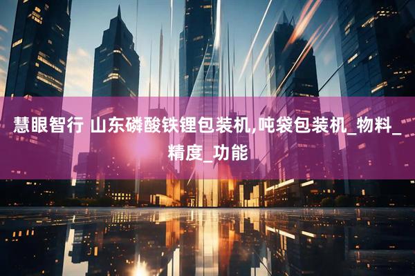 慧眼智行 山东磷酸铁锂包装机,吨袋包装机_物料_精度_功能