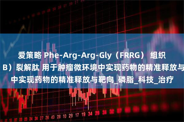 爱策略 Phe-Arg-Arg-Gly（FRRG） 组织蛋白酶B（Cathepsin B）裂解肽 用于肿瘤微环境中实现药物的精准释放与靶向_磷脂_科技_治疗