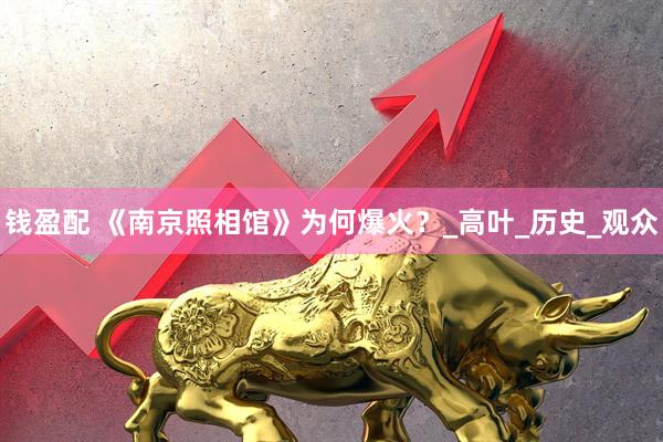 钱盈配 《南京照相馆》为何爆火？_高叶_历史_观众